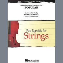 Popular von Stephen L. Schwartz (Download) 