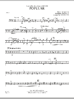 Popular von Stephen L. Schwartz (Download) 