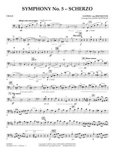 Symphonie Nr. 5 c-Moll op. 67 von Ludwig van Beethoven (Download) 
