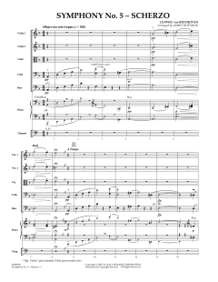 Symphonie Nr. 5 c-Moll op. 67 von Ludwig van Beethoven (Download) 