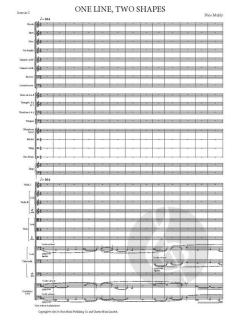 One Line, Two Shapes von Nico Muhly (Download) 