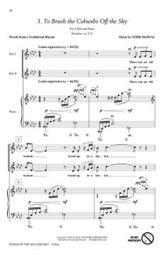 Songs Of The Sea And Sky von Todd McNeal 