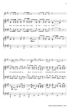 Appalachian Fiddler 