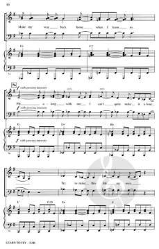Learn To Fly (Foo Fighters) 
