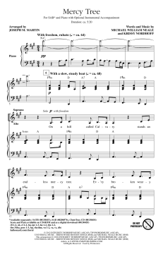 Mercy Tree (Lacey Sturm) 