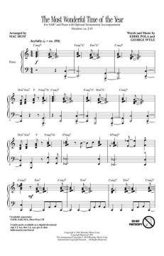 The Most Wonderful Time Of The Year von Andy Williams (Download) 