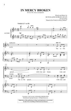 In Mercy Broken von Ruth Elaine Schram (Download) 