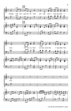 Let Me Be Your Servant von Stan Pethel 
