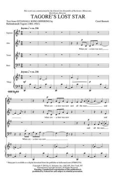 Tagore's Lost Star von Carol Barnett (Download) 