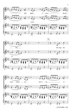 Little Bird von Annie Lennox (Download) 