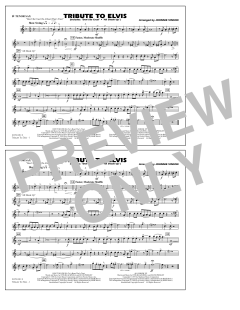 Tribute To Elvis Dont Be Cruel And All Shook Up von Johnnie Vinson (Download) 