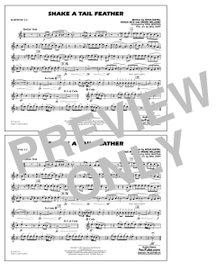 Shake a Tail Feather (Download) 