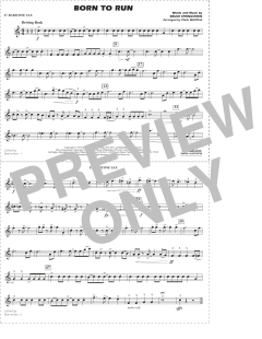 Born to Run von Bruce Springsteen (Download) 