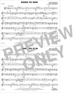 Born to Run von Bruce Springsteen (Download) 