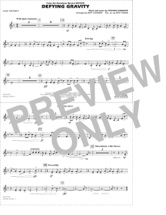 Defying Gravity von Stephen Schwartz (Download) 