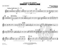 Sweet Caroline von Neil Diamond (Download) 