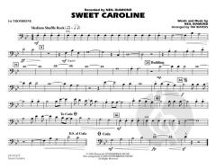 Sweet Caroline von Neil Diamond (Download) 