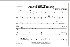 All The Small Things (Download) 