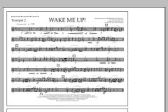 Wake Me Up! von Avicii (Download) 