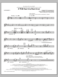 I Will Survive/Survivor von Gloria Gaynor (Download) 