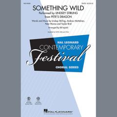 Something Wild von Lindsey Stirling (Download) 