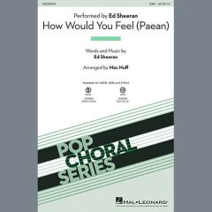 How Would You Feel (Paean) von Ed Sheeran (Download) 