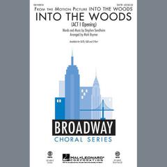 Into The Woods (Download) 