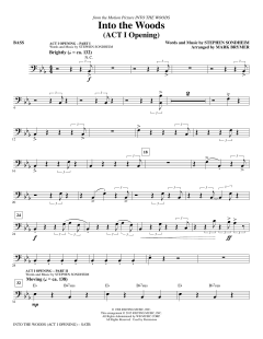 Into The Woods (Download) 
