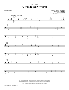 A Whole New World von Tim Rice (Download) 