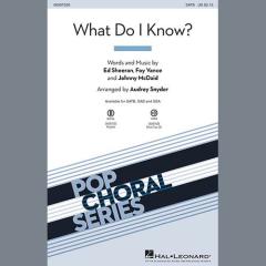 What Do I Know? von Ed Sheeran (Download) 