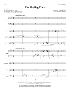 The Healing Place von Joseph M. Martin (Download) 