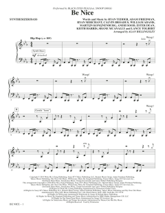 Be Nice (Download) 