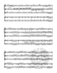 Concerto a quattro TWV 43:d 4 (Georg Philipp Telemann) 