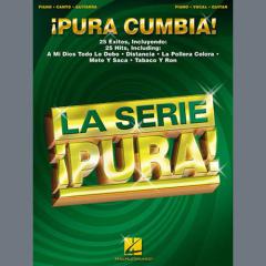 Golpe Con Golpe von Víctor M. Gutierrez Gonzalez (Download) 