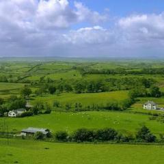 The Fields Of Athenry von Pete St. John (Download) 