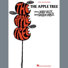 Gorgeous von Jerry Bock (Download) 