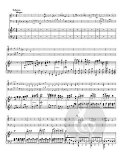 Trio in B op. 97 - "Erzherzog" von Ludwig van Beethoven 