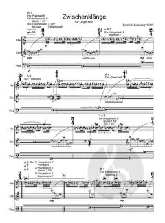 Zwischenklänge für Orgel solo von Dominik Susteck (Download) 