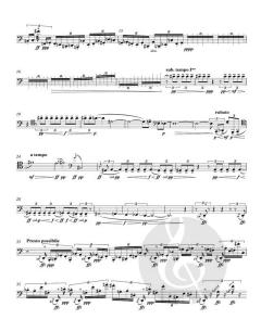 ucelli e ucelletti von Manfred Trojahn (Download) 