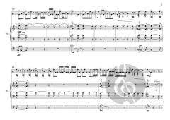 Organova 11: Sense of Rhythm von Zsigmond Szathmáry (Download) 