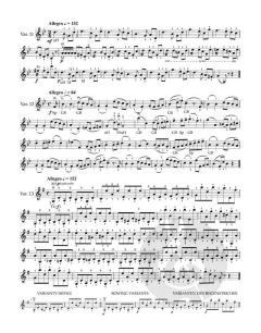 40 Variationen für Violine op. 3 von Otakar Ševčík (Download) 