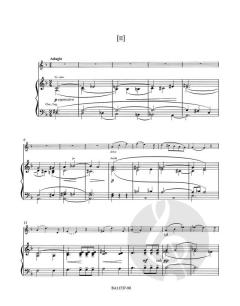 Konzert D-Dur von Wilhelm Blodek (Download) 