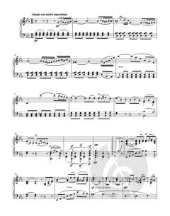 Grande Sonate in B op. 22 von Ludwig van Beethoven (Download) 
