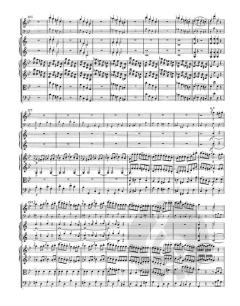 Sinfonie Nr. 25 g-moll KV 183 von Wolfgang Amadeus Mozart 