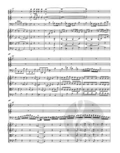 Konzert in B-Dur für Fagott und Orchester KV 191(186e) von Wolfgang Amadeus Mozart 