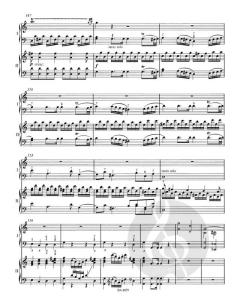 Klavierkonzert Nr.13 C-Dur KV 415(378b) (W.A. Mozart) 