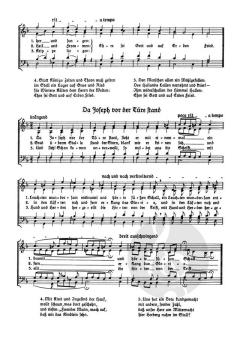 Die Weihnachtsgeschichte (Christian Lahusen) 