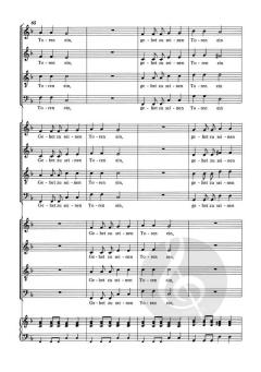 Jauchzet dem Herren, alle Welt SWV deest von Heinrich Schütz (Download) 