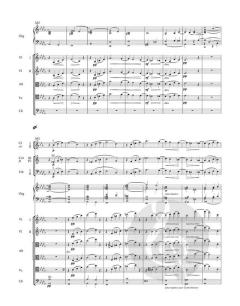 Symphonie Nr. 3 c-Moll op. 78 von Camille Saint-Saëns 