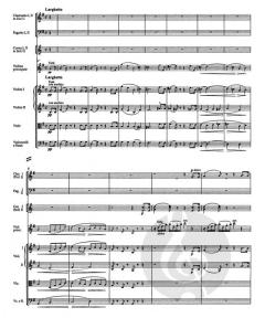 Konzert D-Dur op. 61 von Ludwig van Beethoven für Violine und Orchester im Alle Noten Shop kaufen (Partitur)
